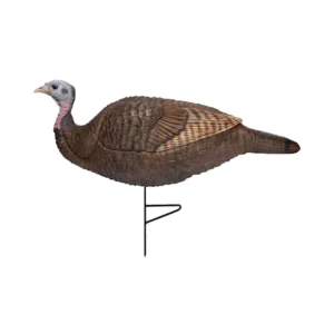 Primos Lil Gobstopper Hen Turkey Decoy, turkey hunting decoys, Primos turkey decoy, Lil Gobstopper Hen, turkey hunting gear, realistic hen turkey decoy, Primos hunting products, hen turkey decoy, hunting decoys, turkey hunting accessories, Primos Lil Gobstopper review, affordable turkey decoy, turkey hunting setup, lifelike hen turkey decoy, hunting with turkey decoys, Primos Hen decoy, turkey calling gear, spring turkey hunting, Primos Lil Gobstopper setup, decoy for turkey hunting, Primos Lil Gobstopper Hen review, hunting turkey decoys, Primos Gobstopper turkey hunting, best turkey decoys, turkey decoy hunting tips, Primos hunting gear.