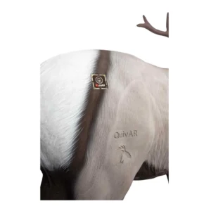 Delta McKenzie Elk Pro X-Ray Series 3D Target, Delta McKenzie Elk 3D target, Elk Pro X-Ray Series target, Delta McKenzie 3D targets, X-Ray Series elk target, Delta McKenzie 3D elk target, Elk Pro target review, Delta McKenzie target for hunting, X-Ray Series 3D target, Delta McKenzie Elk Pro target features, 3D elk target for archery, Delta McKenzie 3D target setup, Elk Pro X-Ray Series review, Delta McKenzie elk archery target