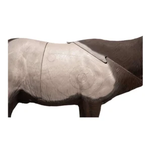 Delta McKenzie Elk Pro X-Ray Series 3D Target, Delta McKenzie Elk 3D target, Elk Pro X-Ray Series target, Delta McKenzie 3D targets, X-Ray Series elk target, Delta McKenzie 3D elk target, Elk Pro target review, Delta McKenzie target for hunting, X-Ray Series 3D target, Delta McKenzie Elk Pro target features, 3D elk target for archery, Delta McKenzie 3D target setup, Elk Pro X-Ray Series review, Delta McKenzie elk archery target